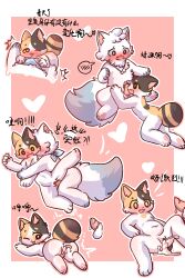 anus balls blep blue_kerchief blush bodily_fluids calico_cat cum cum_in_pussy cum_inside domestic_cat duo felid feline felis fluffy fluffy_tail genital_fluids genitals hi_res japanese_text kerchief kiki_(love_for_my_cute) leo_(love_for_my_cute) love_for_my_cutie mammal multiple_positions pawpads penetration penis pink_pawpads pussy sea_light_and_night sex tail text tongue tongue_out translation_request vaginal_penetration vaginal_penetration