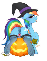 2018 absurdres anatomically_correct anatomically_correct_pussy animal_genitalia animal_pussy anus ass blush clitoris cutie_mark edit equine eyelashes female feral food friendship_is_magic fruit highres holidays hooves jack-o'-lantern looking_at_viewer mammal multicolored_hair multicolored_tail my_little_pony open_mouth pegasus pumpkin pussy pussy_juice rainbow_dash_(mlp) rainbow_hair rainbow_tail ratofdrawn simple_background sitting solo spread_legs spreading thighhighs tongue tongue_out torn_clothing underhoof white_background wings