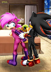 1girls ass bbmbbf female mobius_unleashed penis pussy sega shadonia shadow_the_hedgehog sonia_the_hedgehog sonic_(series) sonic_the_hedgehog_(series) sonic_underground vagina