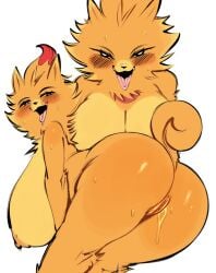 1girl 1girls 2026 2d color colored face female female_focus female_only game_freak generation_10_pokemon humanoid lewd nintendo orange_body orange_fur orange_skin pokemon pokemon_(species) pokemon_ww pombon pomken saltyxodium tagme white_background
