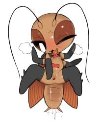 2026 animal_genitalia antennae_(anatomy) anthro armwear aroused arthropod arthropod_abdomen arthropod_abdomen_cloaca arthropod_abdomen_genitalia back_wings bird's-eye_view black_capelet black_clothing black_gloves black_handwear black_legwear black_sclera black_stockings blattodean blush bodily_fluids breath brown_tongue brown_wings capelet chibi cloaca cloacal_fluids clothing cockroach elbow_gloves featureless_arms female female_anthro genitals gloves handwear high-angle_view huge_eyes humanoid_genitalia humanoid_vulva hybrid insect_wings insects legwear looking_pleasured lying mostly_nude mostly_nude_anthro mostly_nude_female on_back one_eye_closed open_mouth roazzi_(tosx) simple_background solo spread_vulva spreading stockings sweat sweaty_face tongue tongue_out tosx vulva white_background white_eyes wings