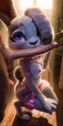 1:2 3_toes 3d_(artwork) 4_fingers ankle_grab anthro aroused big_butt blender_(artwork) blender_cycles_(artwork) box breasts butt christmas clothing container detailed detailed_background detailed_fur digital_media_(artwork) digitigrade disney duo european_rabbit eyelashes eyeliner feet female female_anthro fingers fur furniture genitals grey_body grey_fur half-closed_eyes hand_on_knee hand_on_leg hi_res hindpaw holidays judy_hopps lagomorph leg_grab legwear leporid looking_at_another looking_at_partner looking_up makeup male mammal multicolored_body multicolored_ears multicolored_fur narrowed_eyes navel nudaya one_eye_closed one_eye_obstructed oryctolagus panties paws penis penis_on_face penis_on_mouth penis_on_tongue pink_clothing pink_panties pink_underwear pose purple_eyes rabbit signature sitting small_breasts thick_thighs thigh_highs toes topwear two_tone_body two_tone_fur underwear white_body white_fur wide_hips zootopia