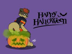 ass bat canine clothed clothing doggettdouglasmcdog fart food fruit halloween happy_halloween holidays jack_o'_lantern mammal partially_clothed pumpkin shirt smile