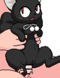 a_cat_is_fine_too animated black_body black_fur blush cat_ears cat_tail cum cum_in_pussy cum_inside feline female female_penetrated feral human_on_feral len_(tsukihime) male male/female male_penetrating male_penetrating_female mp4 penis penis_in_pussy pussy tagme toony tsukihime vaginal vaginal_insertion vaginal_penetration vaginal_sex video