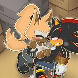 shadow the hedgehog from sonic (series)