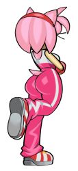 amy rose from sonic (series) by fiinel