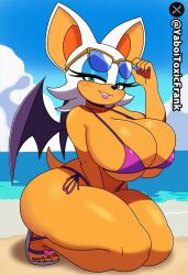 rouge the bat from sega by yaboitoxicfrank