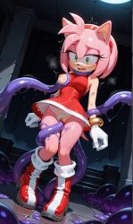 amy rose from sonic (series)
