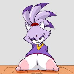 blaze the cat from sega by skachy
