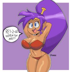 shantae (character) from shantae by fonz