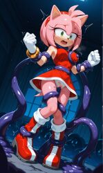 amy rose from sonic (series)