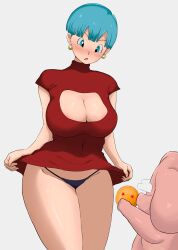 bulma briefs from dragon ball