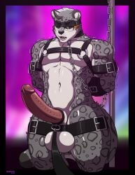 absurd_res anthro big_penis blindfold bondage bondage_gear bound eirlys_copa erection felid furry genitals hi_res male male_only mammal muscular muscular_arms muscular_male pantherine penis service_top service_top_harness snow_leopard solo tridark