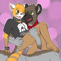 2018 5_fingers aggressive_retsuko anthro anthro_on_anthro balls black_nose bottomless bracelet brown_fur chair_position clothed clothed_sex clothing collar condom duo eddiew female from_behind_position fur furry green_eyes grey_fur haida happy happy_sex humanoid_hands hyena interspecies jewelry leg_grab male male_penetrating mammal necktie one_eye_closed open_mouth open_smile penetration penis pussy pussy_juice red_panda retsuko safe_sex sanrio sex shirt smile smooth_fur spiked_bracelet spiked_collar spikes straight t-shirt vaginal_penetration wearing_condom