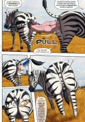 absurd_res anal anal_sex anal_vore anus artca9 ass balls big_anus big_butt body_part_in_ass breasts comic comic_panel dialogue equid equine equine_anus female feral feral_pred genitals group hi_res hooves huge_anus human human_on_feral human_prey interspecies male male/female mammal nipples penetration puffy_anus soft_vore speech_bubble striped_body stripes text trio tug_of_war violet_(artca9) vore zebra zoophilia