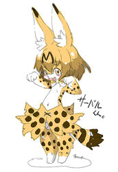 2017 anthro balls blush cute_fangs feline japanese_text kemono_friends looking_at_viewer macop male mammal open_mouth penis rule_63 serval serval_(kemono_friends) solo text translation_request uncut yellow_eyes young