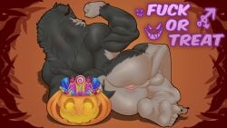 16:9 5_fingers abs alternate_version_at_source anthro anus ass balls barazoku biceps big_muscles big_nipples big_penis candy canid canine canis dessert english_text eyebrows fangs feet fingers flexing flexing_bicep food fruit fur genitals halloween hi_res holidays humanoid_genitalia humanoid_penis jack-o'-lantern jewelry kentu looking_at_viewer male mammal morinetsu muscular muscular_anthro muscular_male nipples nude penis plant profanity pubes pumpkin simple_background solo teeth text thick_eyebrows toes vein veiny_penis widescreen wolf