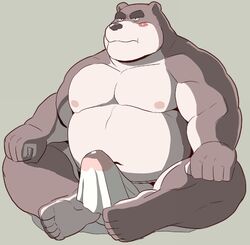 00murice 2018 anthro bear belly blush clothing erection fundoshi gay humanoid_hands japanese_clothing male male_only mammal moobs navel nipples overweight overweight_male penis simple_background sitting solo underwear