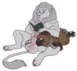 ambiguous_gender anthro balls bear big_balls big_sheath duo explicital feline heart hybrid hyena lion male male/ambiguous male_only mammal muscular muscular_male reading simple_background white_background white_lion