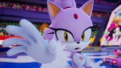 blaze the cat from sega by rochestedorm