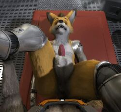 2boys 3d anal anal_sex animal_genitalia animal_penis animated anthro balls canine_penis dominant_pov duo fur furry gay gay_sex guardians_of_the_galaxy h0rs3 lying male male_only male_pov marvel on_back penetration penis pov rocket_raccoon sex table_lotus_position