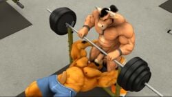 2025 2_horns 3d_(artwork) 3d_animation abs animated anthro balls barazoku barbell bench biceps black_hair blue_bottomwear blue_clothing blue_shorts body_hair bottomwear bottomwear_down bovid bovine braford cattle clothed clothing deltoids digital_media_(artwork) duo facial_hair felid footwear forearm_muscles foreskin fur genitals goatee grey_wristband gym hair hand_on_another's_butt hand_on_butt happy_trail high-angle_view horn house_of_beef inside kurt_(braford) lion lying male male/male mammal muscular muscular_anthro muscular_male navel nipples no_sound on_back on_bench orange_body orange_bottomwear orange_clothing orange_fur orange_shorts oscar_(braford) pantherine partially_clothed pecs penis penis_in_mouth penis_out ponytail pubes shoes short_playtime shorts shorts_down sideburns sneakers standing tagme topless video weight_bench weights yellow_body yellow_fur