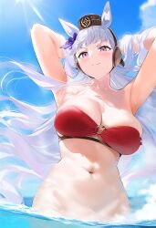 gold ship (umamusume) from umamusume