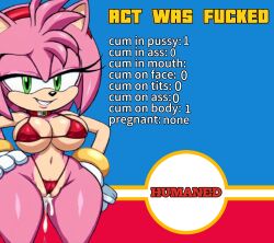 amy rose from sonic (series)