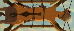 spirit (cimarron) from dreamworks