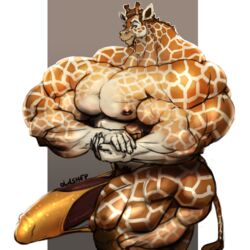 anthro bulge clothing giraffe half-erect humanoid_penis hyper hyper_muscles hyper_penis looking_at_viewer male male_only mammal muscular muscular_male oldshep pecs penis penis_outline small_head solo standing underwear