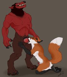 2boys animal_genitalia animal_penis anthro balls canine duo erection explicital fellatio fox fur furry furry_only hair male male_only mammal muscles muscular_male no_humans oral penis precum sex testicles tongue were werewolf wolf yaoi