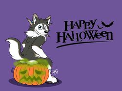 ambient_bat ass bat canine cosplay costume doggettdouglasmcdog dusk_lycanroc fart food fruit halloween happy_halloween holidays jack_o'_lantern lycanroc male_only mammal nintendo pokémon_(species) pokemon pumpkin smile the_legend_of_zelda twilight_princess video_games wolf_link