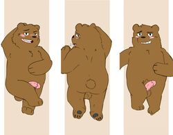 balls bear blush cartoon_network dakimakura graft_(artist) grizzly_(character) grizzly_bear humanoid_penis male male_only mammal penis solo we_bare_bears