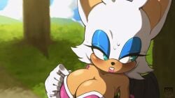 2d animated animated big_breasts rouge_the_bat sonic_(series) tagme