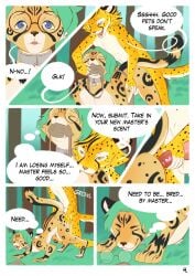 anal anal_sex animal_genitalia animal_penis anthro anthro_on_anthro anthro_on_feral anthro_penetrating anthro_penetrating_feral balls biped bite bite_mark cheek_tuft cheetah closed_eyes clothing collar comic command control_collar dialogue digital_drawing_(artwork) digital_media_(artwork) dirty_talk discarded_clothing doggy_style dominant dominant_anthro dominant_male duo eaglethecheetah english_text erection eyewear facial_tuft fangs felid feline feline_genitalia feline_penis felix_(roadd) feral feral_penetrated feral_transformation forced forced_anal forest from_behind_position fur gag gagged genitals glasses grass growling hi_res hypnotic_eyes kneeling male male/male male_penetrated male_penetrating male_penetrating_male mammal markings mind_control nature nave navel nude open_mouth outside outside_sex penetration penile_spines penis plant quadruped rape sex sheath slim small_waist speech_bubble spots spotted_body spotted_fur submissive submissive_feral tan_body tan_fur teeth text thought_bubble transformation tree tuft undressing_another vorpale white_body white_fur zoophilia
