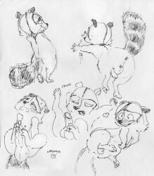 dreamworks dreamworks_animation male male_only over_the_hedge paramount_pictures raccoon ramsatinga rj_(over_the_hedge)
