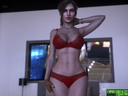 1girls 3d cahunk100 claire_redfield red_bra red_panties red_underwear resident_evil solo underwear