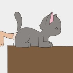 animated beastiality cum cum_in_pussy cum_inside cum_on_body feline feral grey_body grey_fur human_on_feral original original_character sitting surprised surprised_expression tagme video zoophillia