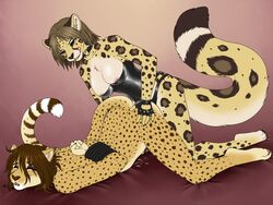 2018 ajna anal anal_sex anthro bondage brown_fur cheetah dildo duo feline female fur leopard male mammal nude pegging penetration rope sex_toy smile spots spotted_fur straight strap-on yellow_fur