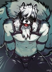 absurd_res african_wild_dog anthro arms_tied ball_gag bound bulge canid canine canis collar fluffy fluffy_tail gag harness hi_res leather lilshark male male_only mammal peaking solo submissive_male tail thick_tail von_lycaon wolf zenless_zone_zero