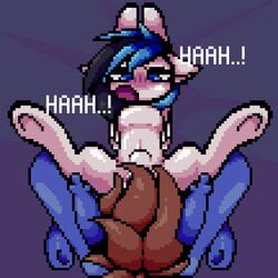 2018 animated equine female friendship_is_magic gif hair loop male mammal my_little_pony open_mouth penetration penis pixel_art pussy_juice simple_background stockingshot56 stomach_bulge vaginal_penetration