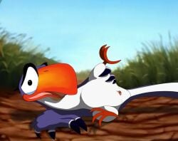animal_genitalia avian avian_butt avian_feet beak belly bird blue_body blue_feathers bodily_fluids bucerotiform cloaca cloaca_juice disney feathered_wings feathers feral genital_fluids genitals hornbill lying male mcfan on_side orange_beak solo spread_legs spreading tail tail_feathers the_lion_king white_belly white_body white_feathers wings zazu_(the_lion_king)