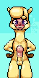 2018 alpaca animated camelid erection furry gif looking_at_viewer loop male male_focus mammal nude paprika_paca_(tfh) penis pixel_art simple_background solo stockingshot56 them's_fightin'_herds