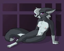 anthro breasts canine el-gallo female fox grey_fox lisa mammal piercing purple_eyes solo