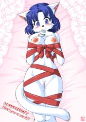 2015 areola bellna blue_eyes blue_hair blush bound bow_tie english_text feline feline female fur gift hair hi_res inner_ear_fluff looking_at_viewer lying mammal milkexplorer navel nipples pussy solo text white_fur