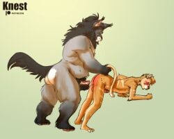 2024 anthro ass_up bent_over blush clay_(knest) domestic_cat duo felid feline felis genitals hi_res holding_penis holding_tail imminent_anal knest maine_coon male male/male mammal overweight overweight_anthro overweight_male penis size_difference spank_marks tail