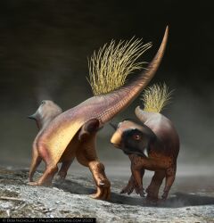 3d absurd_res ambiguous_gender biped bob_nicholls claws digital_media_(artwork) dinosaur duo feathers feral genital_focus genitals hi_res horn looking_at_genitalia prehistoric_species reptile scalie