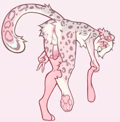 anthro anus balls blush clothing felid feline femboy fur genitals hi_res legwear male mammal pantherine pawpads penis pink_body pink_fur presuk raised_tail snow_leopard solo stockings tail vachtig