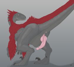 anus dinosaur feathers feral knot looking_at_viewer male male_only penis precum presenting raptor red_feathers solo theropod wyatt wyatt_(artist)