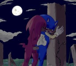 against_wall anal anus ass balls gay knuckles_the_echidna male_only penis soina sonic_(series) sonic_the_hedgehog sonknux yaoi